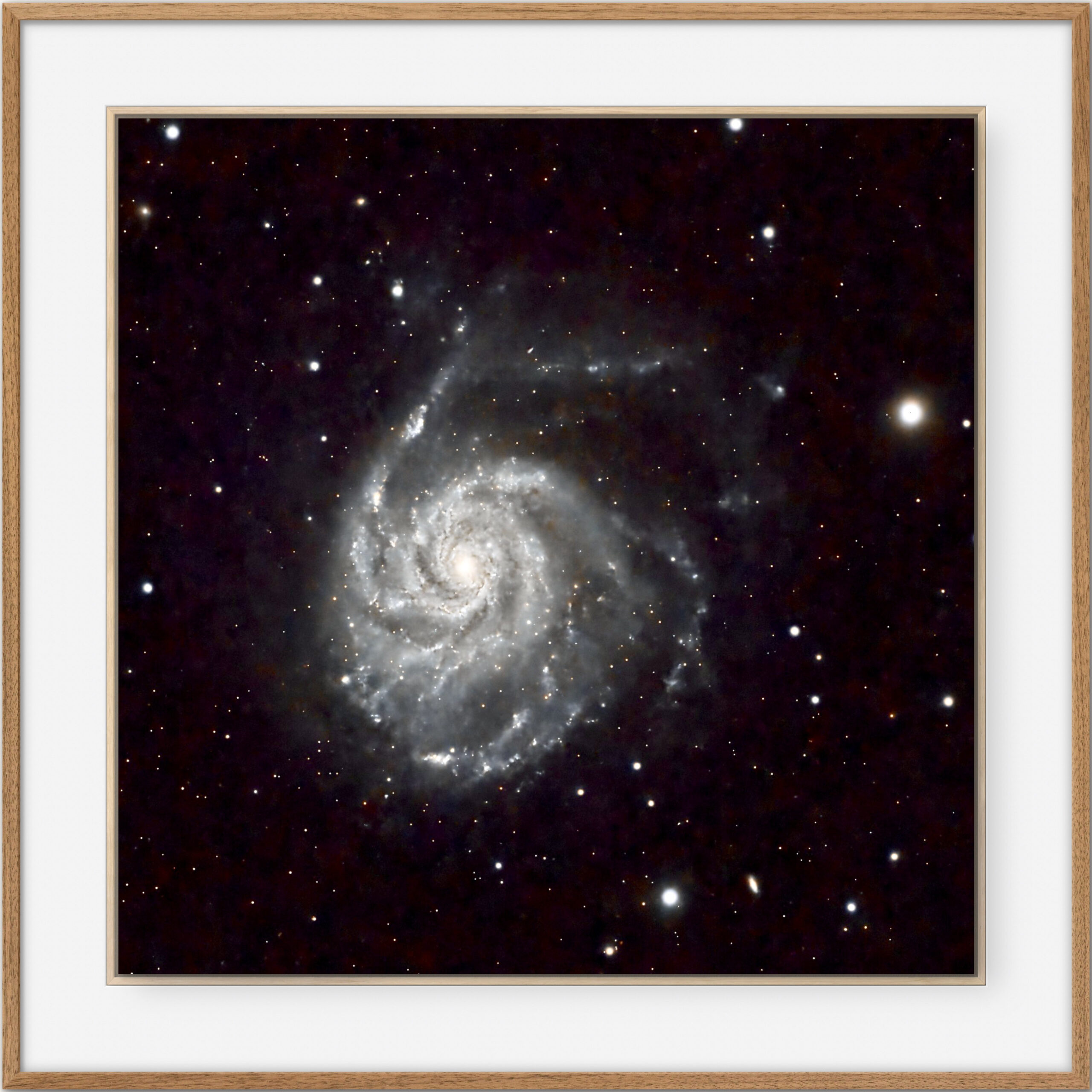 M 101 · La Galaxia del Molinete - Imagen 2