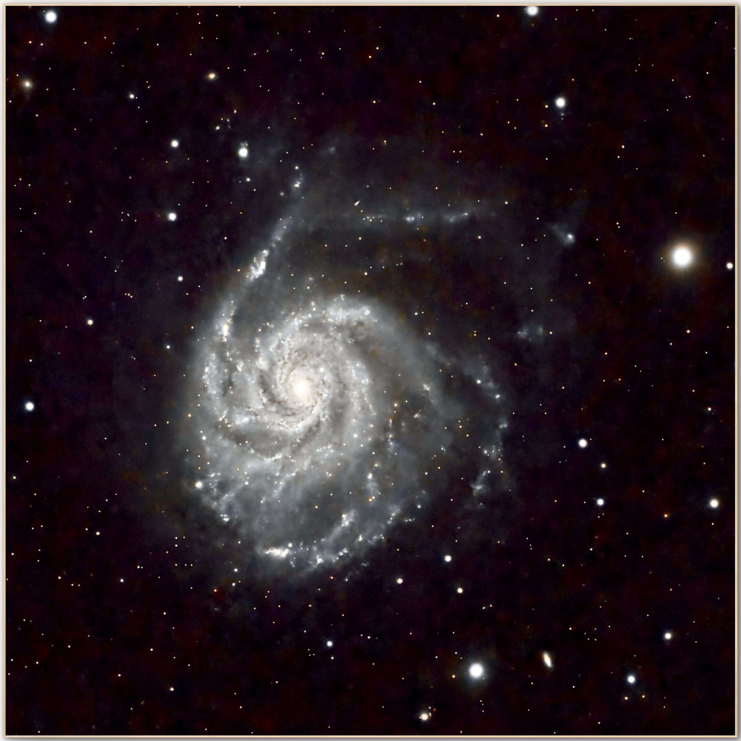M 101 · La Galaxia del Molinete