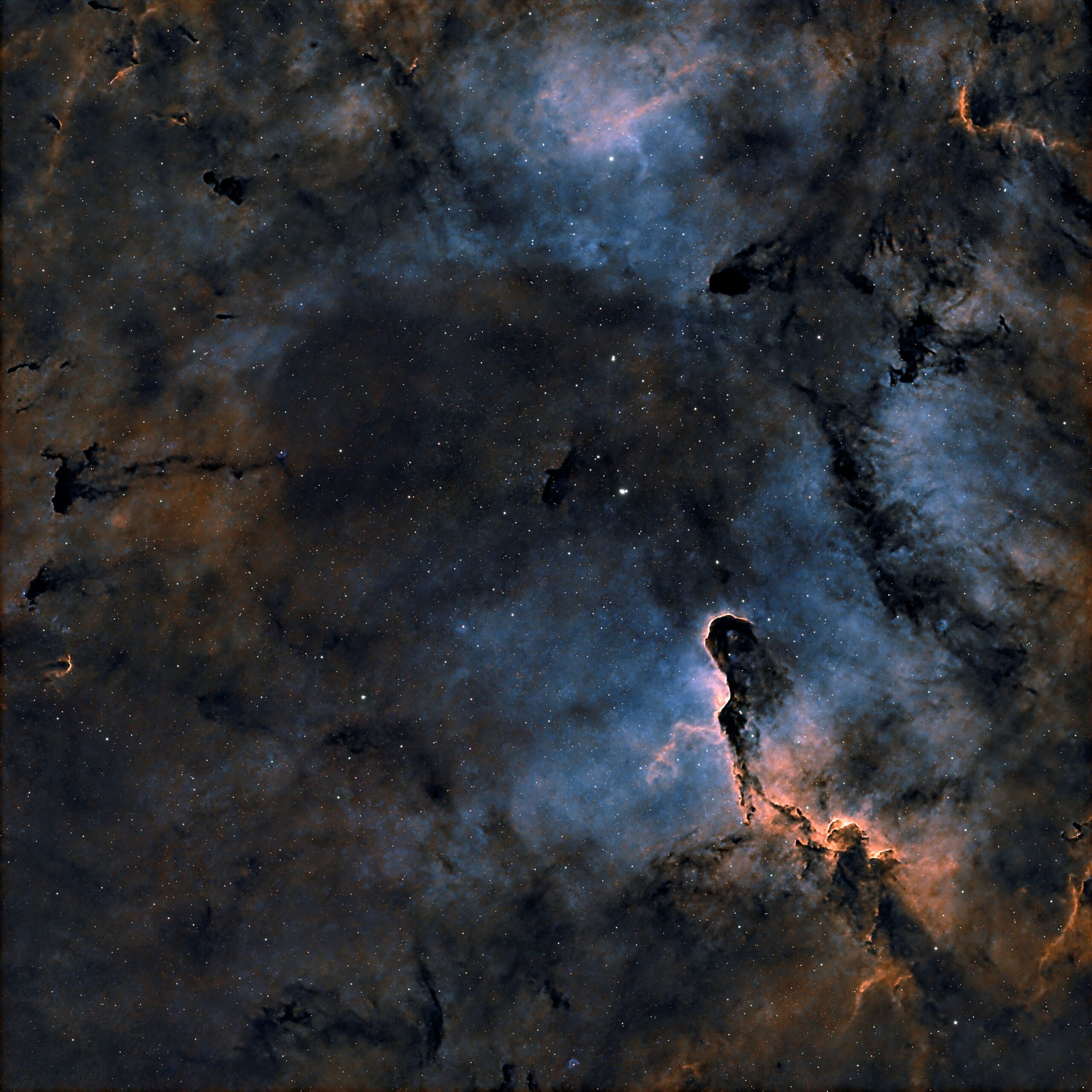 Nebulosa Trompa de Elefante