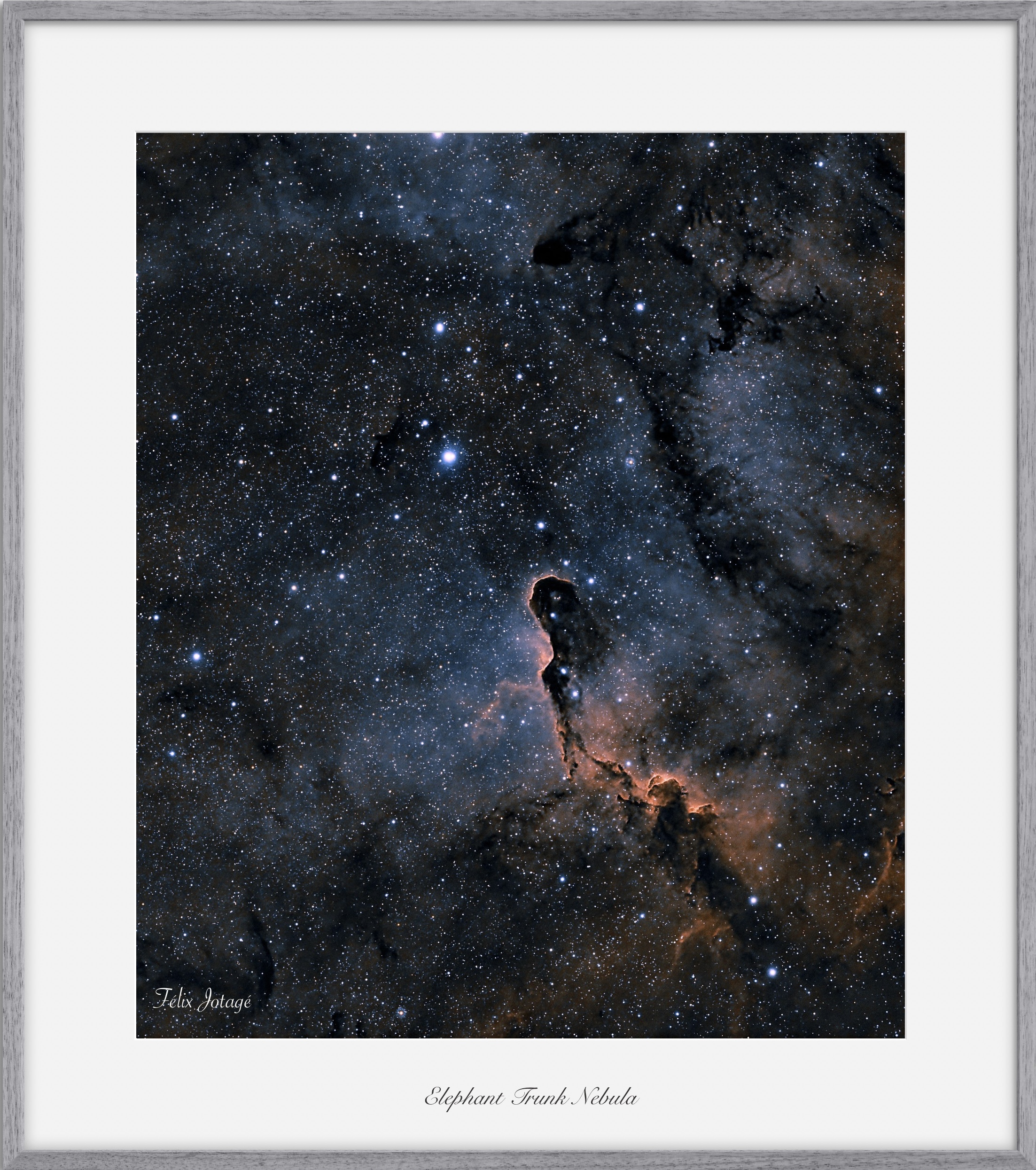 Nebulosa Trompa de Elefante | Fine Art - Imagen 2